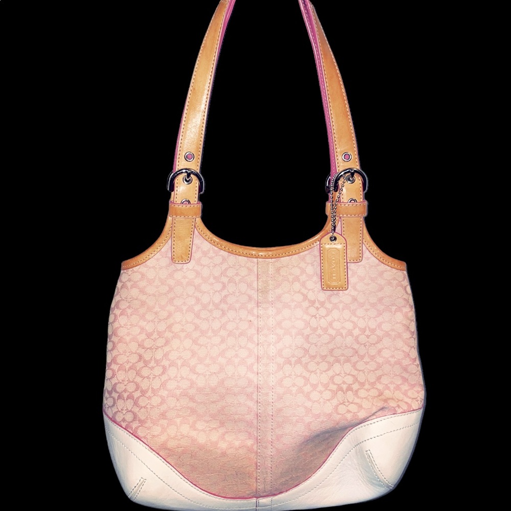 Y2K Coach Purse